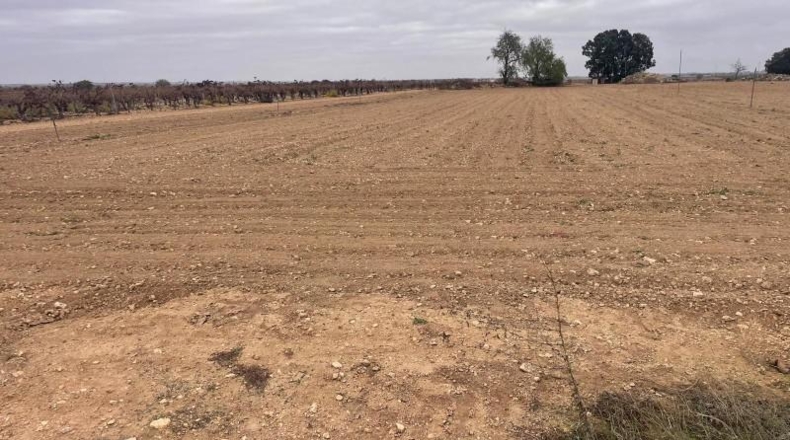 Albacete - Mahora - 23681m2