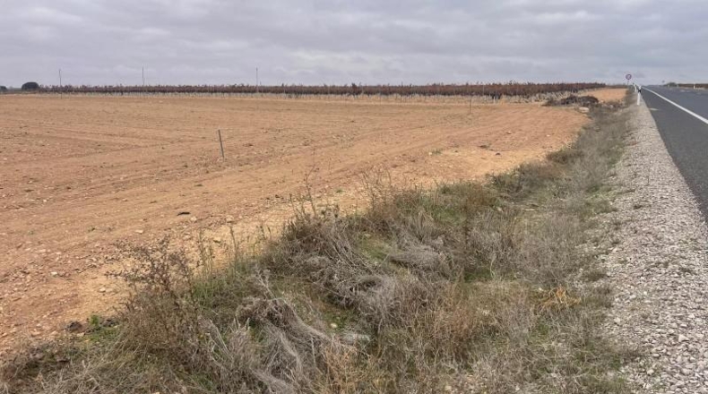 Albacete - Mahora - 23681m2