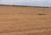 Terreno no urbanizable en venta en la España, Mahora, ref: TR180226 foto