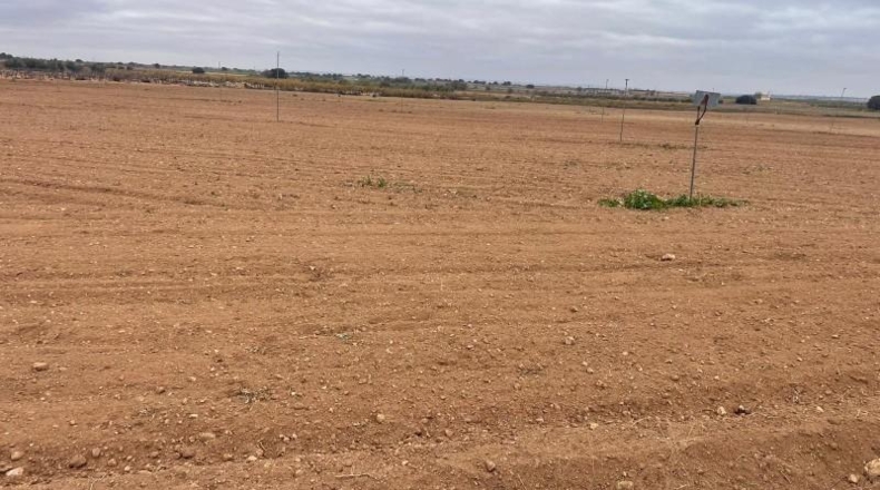 Albacete - Mahora - 23681m2