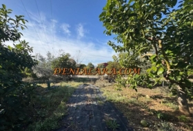 Pego 2125&nbsp;m²