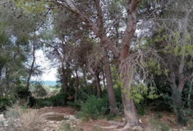 Foto 8