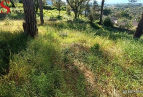 Tordera 734&nbsp;m² 