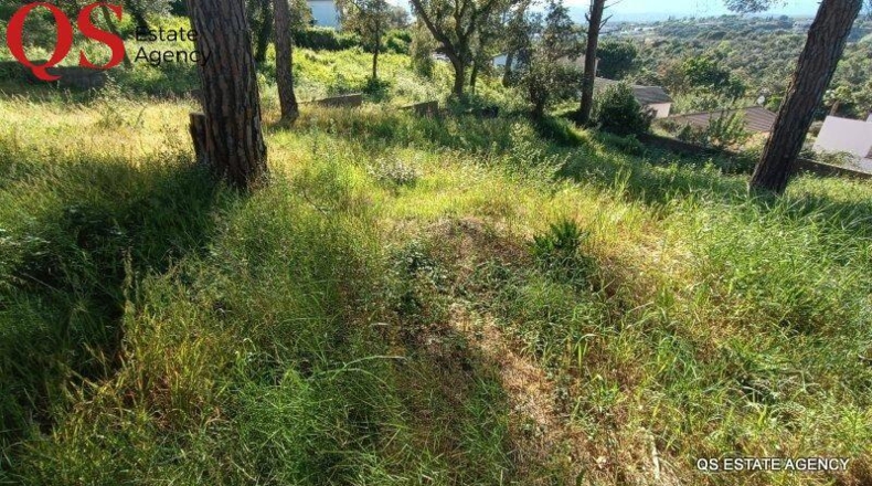Barcelona - Tordera - 734m2
