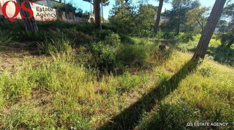 Barcelona - Tordera - 734m2