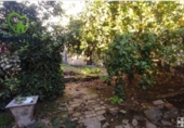 Village house for sale on España, El Carpio, ref: TR399700 photo