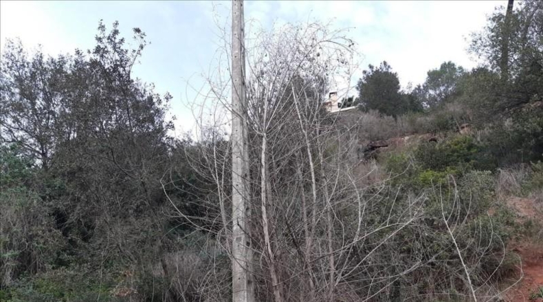 Barcelona - Torrelles de Llobregat - 829m2