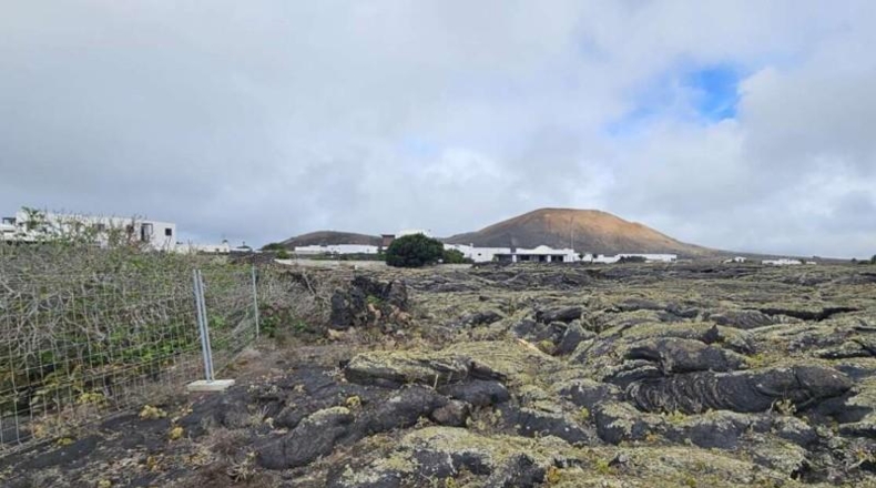 Las Palmas - Tías - 2239m2