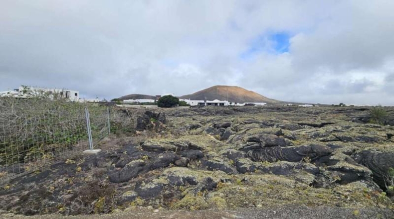 Las Palmas - Tías - 2239m2