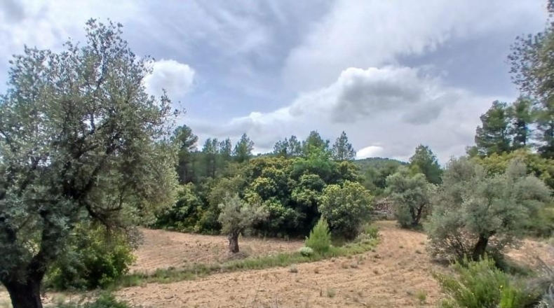 Teruel - Fórnoles - 74694m2