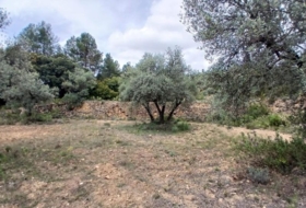 Fórnoles 74694&nbsp;m²