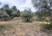Detached villa with land for sale on España, Fórnoles, ref: TR412028 photo