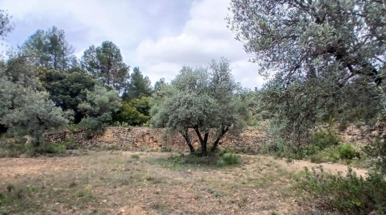 Teruel - Fórnoles - 74694m2