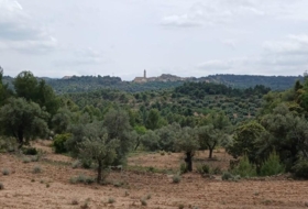 Fórnoles 74694&nbsp;m²