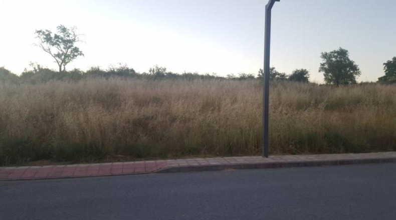 Leon - Camponaraya - 685m2