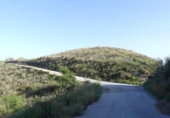 Parcela urbanizable en venta en la España, Almuñécar, ref: TR403829 foto