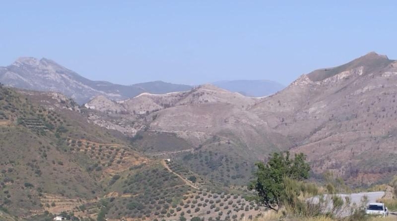 Гранада - Almuñécar - 20000m2