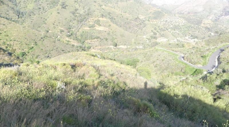 Гранада - Almuñécar - 20000m2