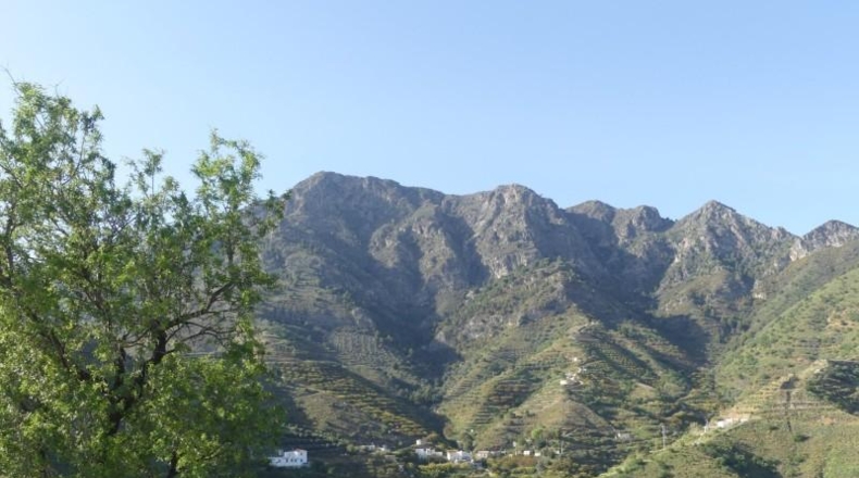 Гранада - Almuñécar - 20000m2