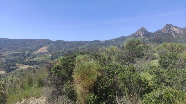 Гранада - Almuñécar - 20000m2