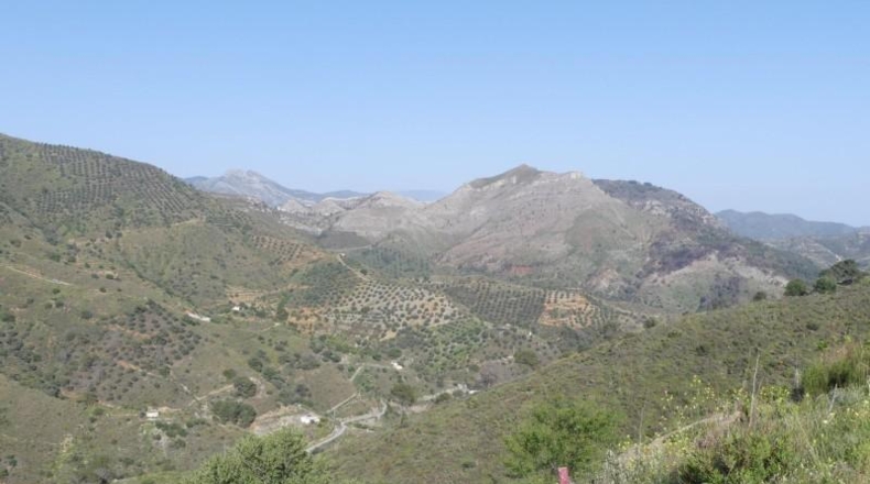 Гранада - Almuñécar - 20000m2