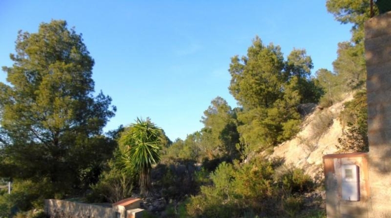 València - Olocau - 2821m2
