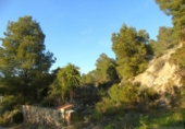 Parcela urbanizable en venta en la España, Olocau, ref: TR115230 foto