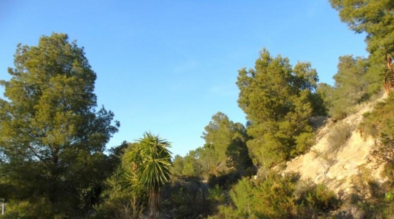 València - Olocau - 2821m2