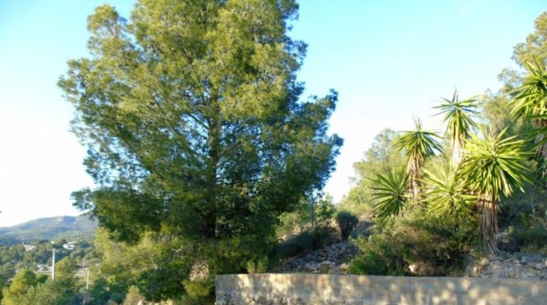València - Olocau - 2821m2