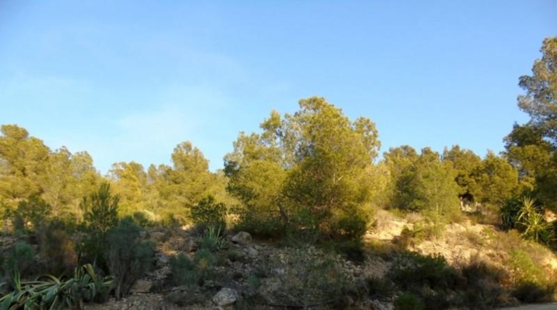 València - Olocau - 2821m2