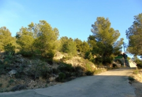 Foto 7
