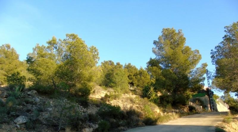 València - Olocau - 2821m2