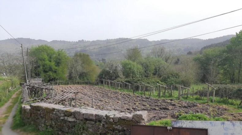 Orense - Orense - 856m2