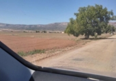 Non-developable land for sale on España, Almansa, ref: TR239122 photo