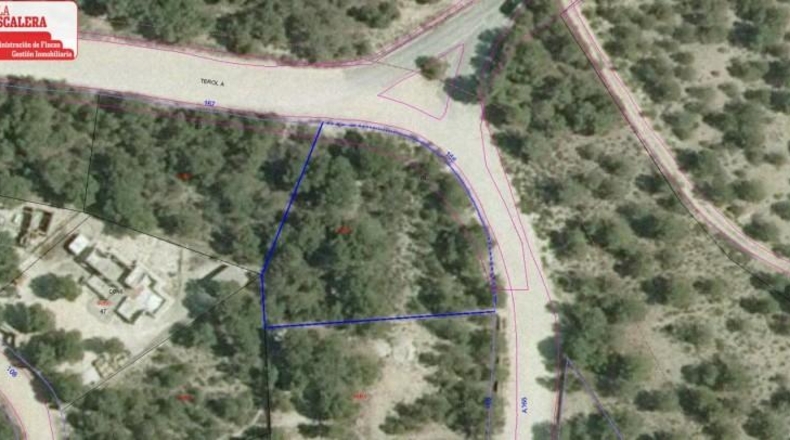 Alicante - Tibi - 1297m2