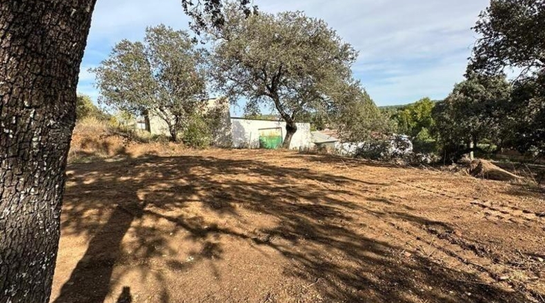 Córdoba - Córdoba - 2545m2