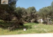 Sòl urbà en venda a la España, Còrdova, ref.: TR122228 foto