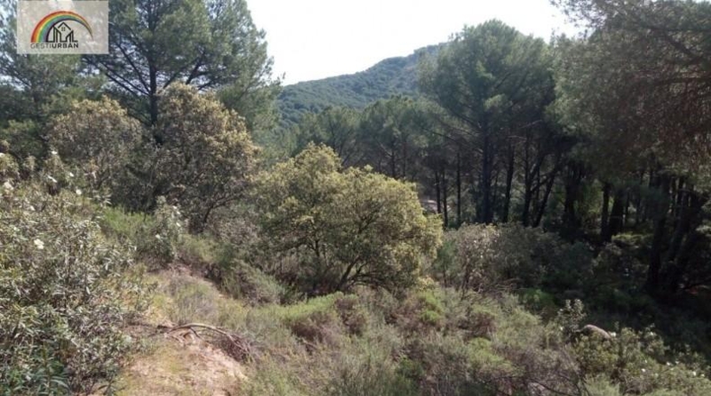 Córdoba - Córdoba - 3000m2
