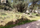 Sòl urbà en venda a la España, Còrdova, ref.: TR122229 foto