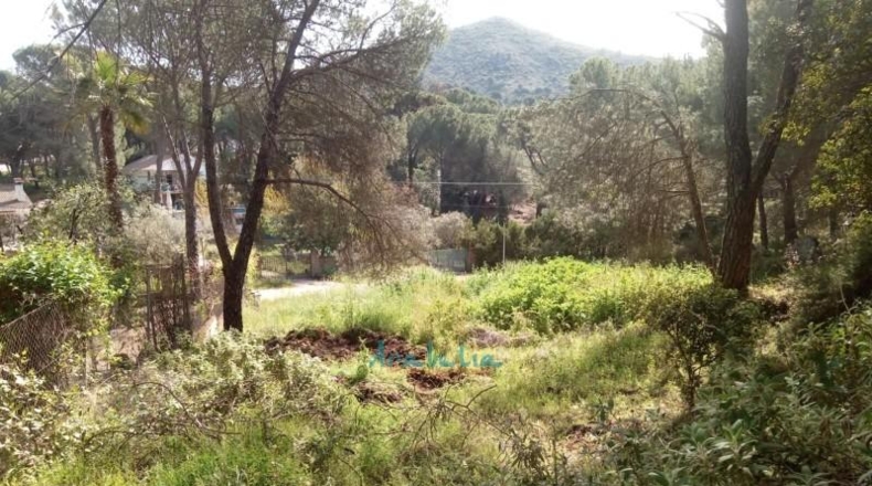 Córdoba - Córdoba - 3299m2