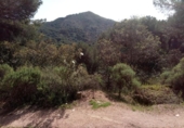 Sòl urbà en venda a la España, Còrdova, ref.: TR122467 foto