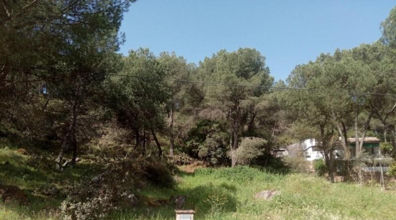 Córdoba - Córdoba - 3056m2