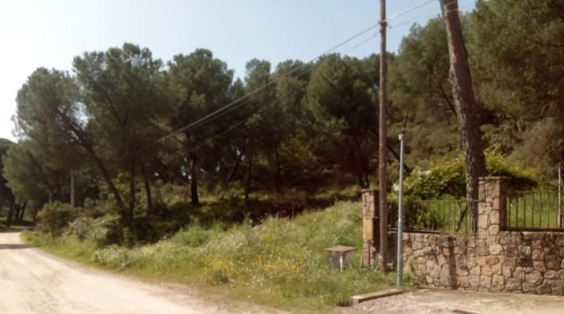 Córdoba - Córdoba - 3056m2