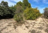 Parcela urbanizable en venta en la España, Ontinyent, ref: TR118875 foto