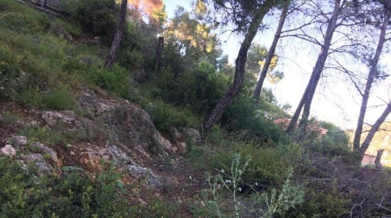 Barcelona - Vallirana - 800m2