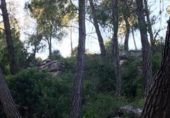 Suelo urbano en venta en la España, Vallirana, ref: TR120012 foto