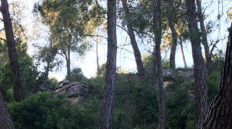 Barcelona - Vallirana - 800m2
