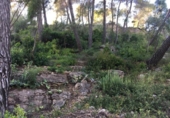 Suelo urbano en venta en la España, Vallirana, ref: TR120012 foto