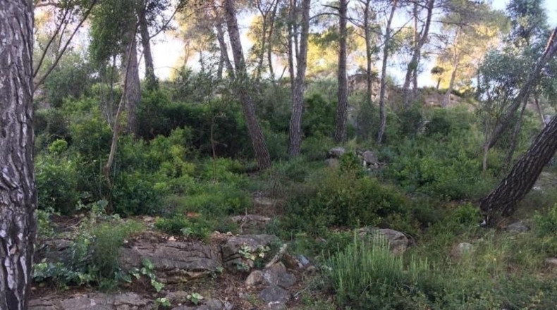 Barcelona - Vallirana - 800m2