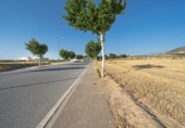 Terreno no urbanizable en venta en la España, Dílar, ref: TR296293 foto